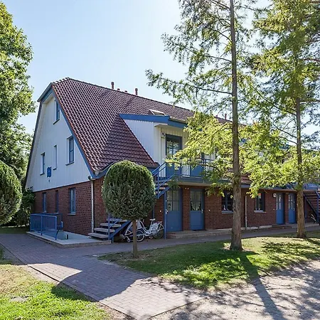 Papillon 03-1 * بولتينهاجين